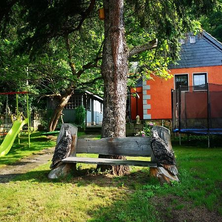 Ferienhaus Franz - An Der Elbe, Mit Grossem Garten Pirna Zewnętrze zdjęcie