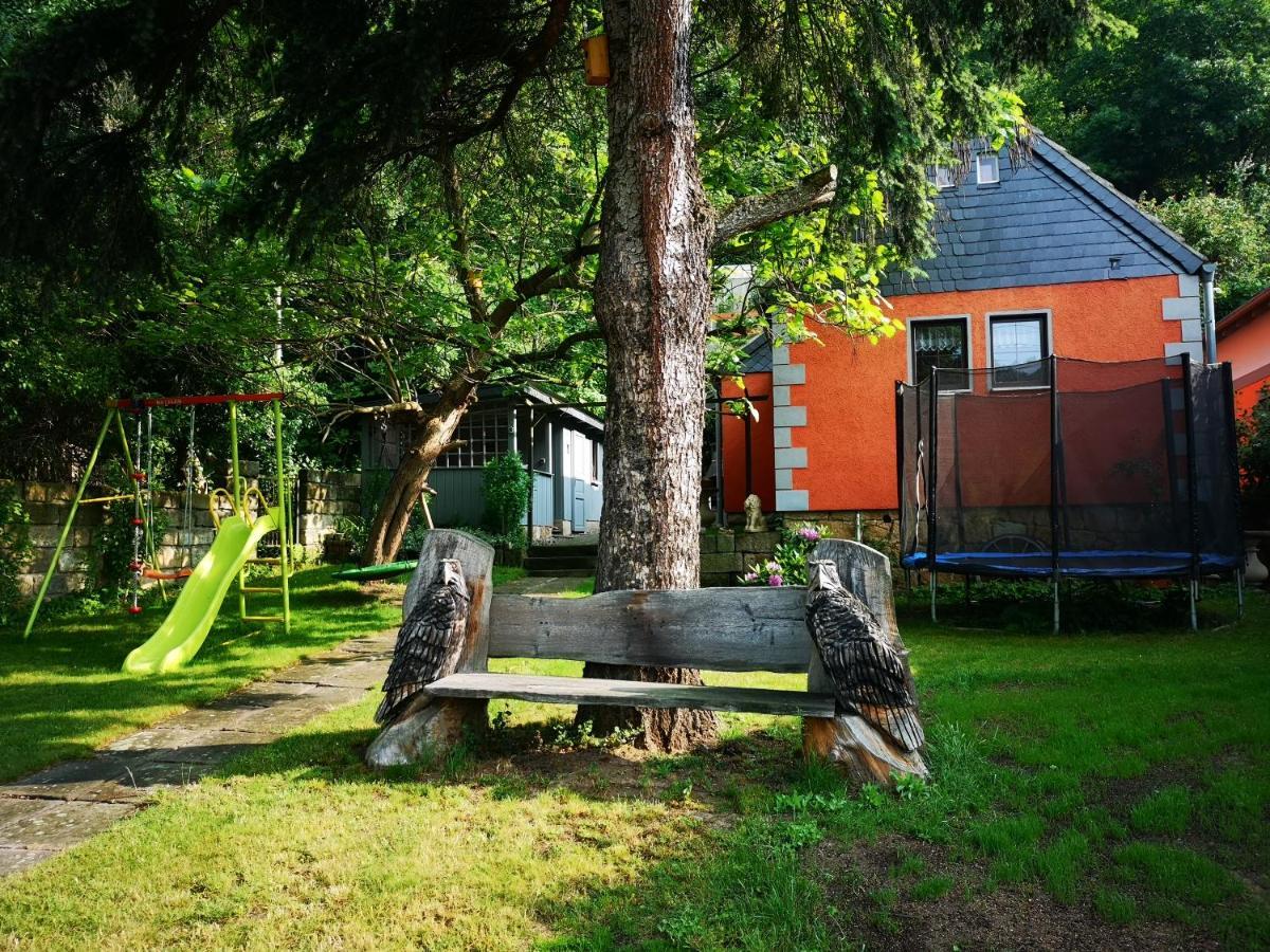 Ferienhaus Franz - An Der Elbe, Mit Grossem Garten Pirna Zewnętrze zdjęcie