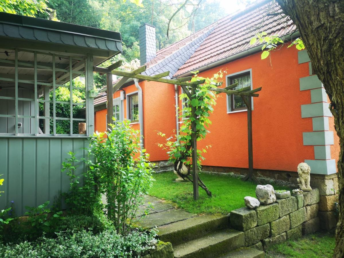 Ferienhaus Franz - An Der Elbe, Mit Grossem Garten Pirna Zewnętrze zdjęcie