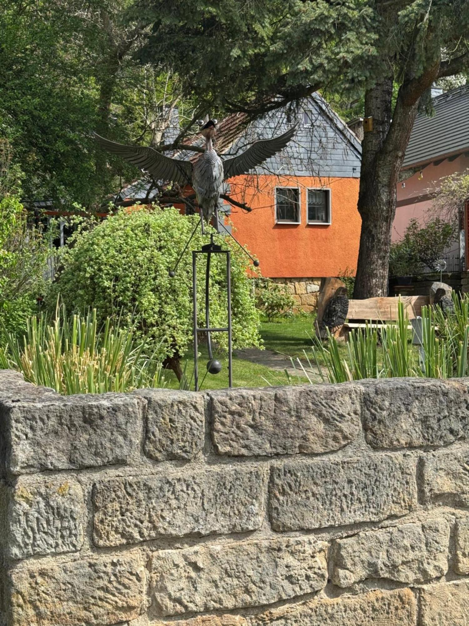 Ferienhaus Franz - An Der Elbe, Mit Grossem Garten Pirna Zewnętrze zdjęcie